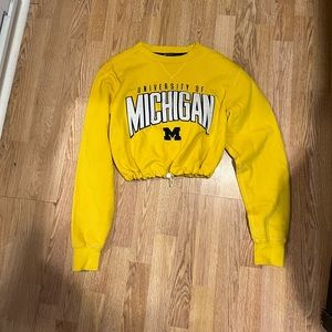 Champion University of Michigan cropped crewneck sweatshirt